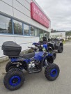 ATV Forest 125 - 2026 thumbnail